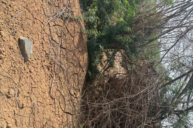 The Mardha crossing showing the near-vertical eroded bank face above the channel bed