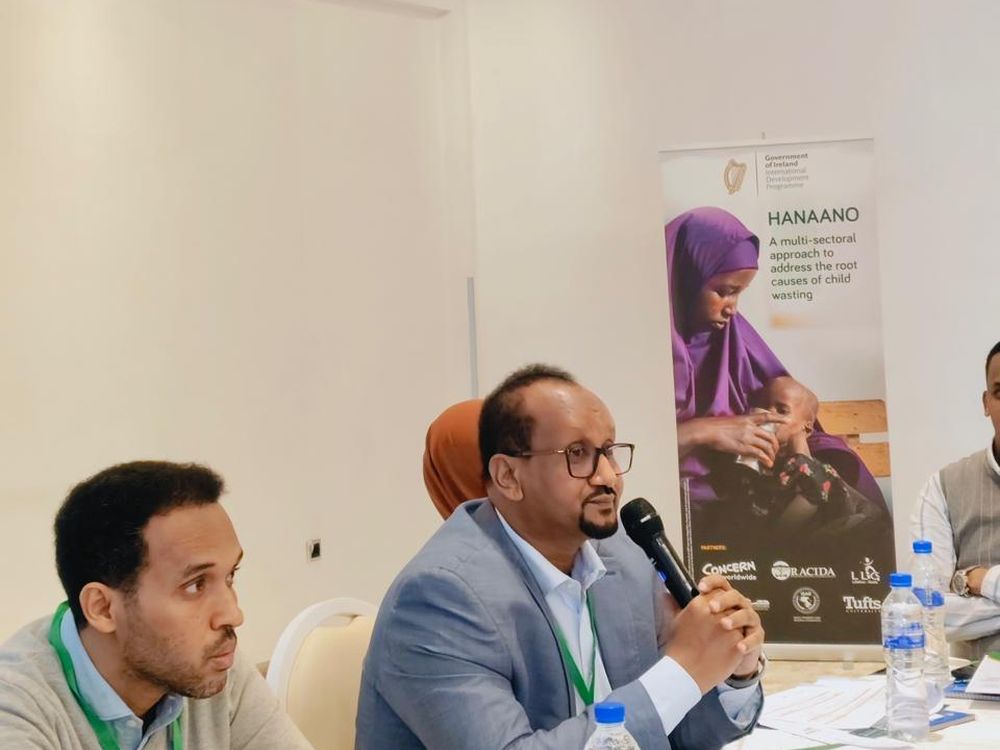 Technical session at the Hanaano Government Authority Group