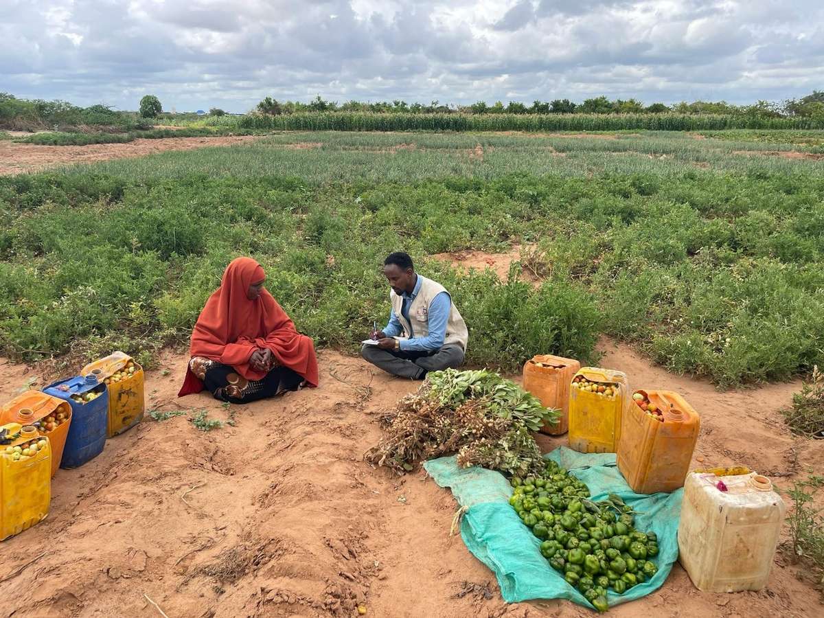 Fatuma Abdullahi Abdirahman displaying her harvest with LLG's project coordinator