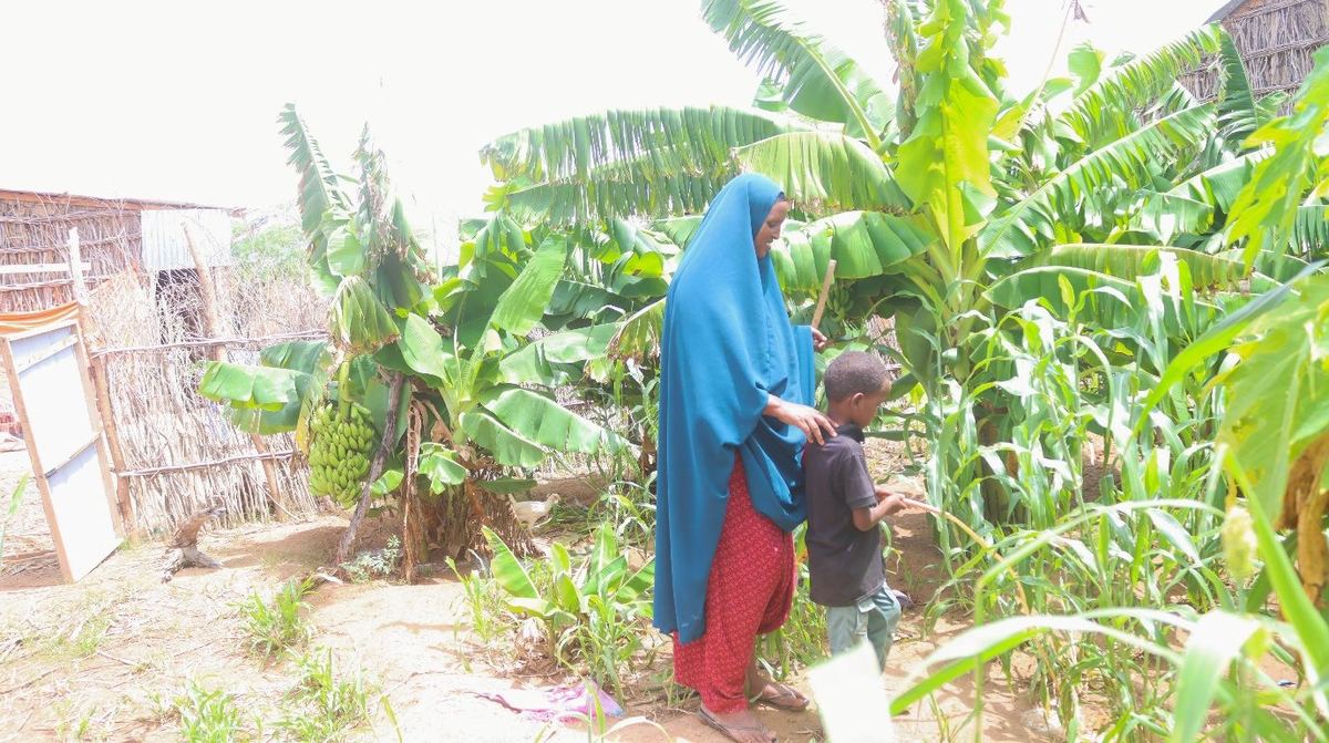 Hawa Abdiladif Adan and her young son watering their home garden