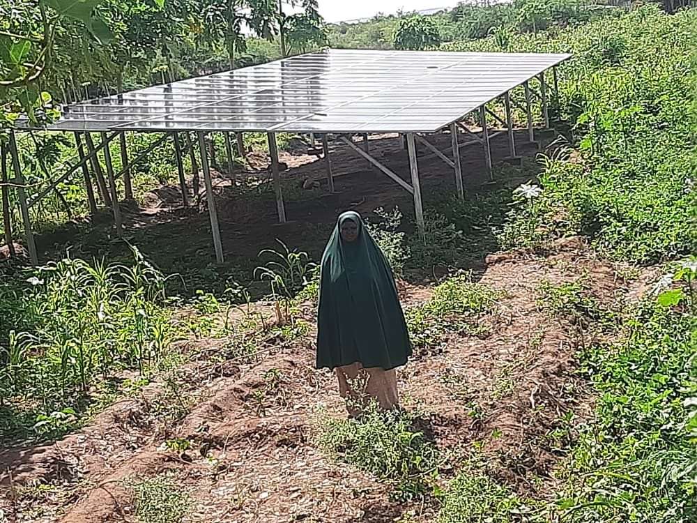 Hawa standing beneath the solar array that now irrigates her farm in Bantaal