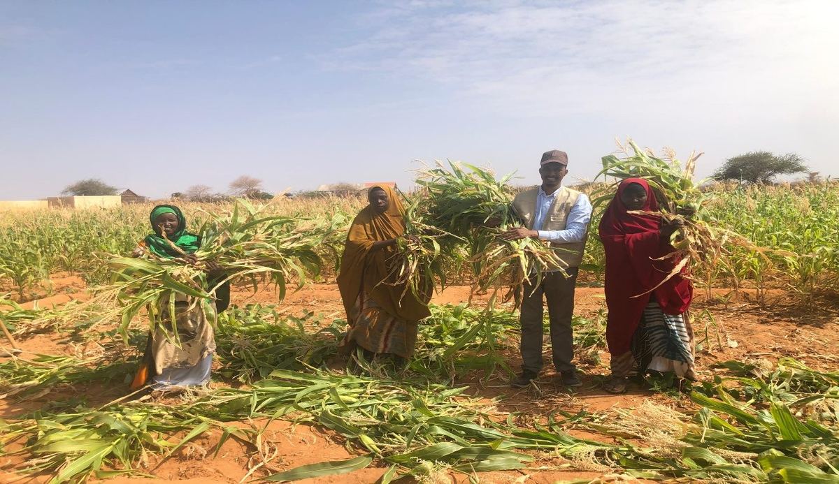 Women of the Bula Qalooc permagardening group at harvest