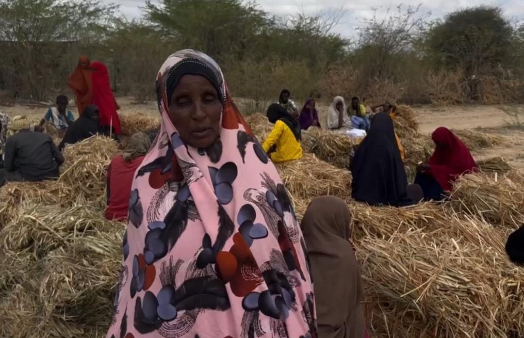 Tamima Adan Abdirahman at the fodder distribution in Bulacadey, Bardhere
