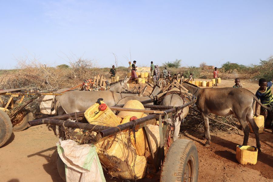 Families collecting water by donkey cart at a rehabilitated water point in Gedo region